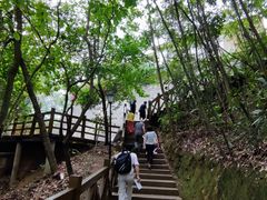 -广州市流溪河国家森林公园
