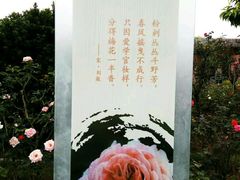 -广州花之恋城堡酒店
