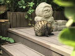-正阳书局(西四南大街店)