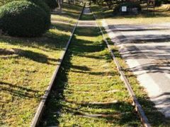 -永定河休闲森林公园