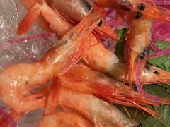 -圣丰索菲特·2 On 988 Café 自助餐厅