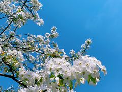 -白塘生态植物园