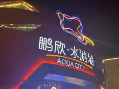 -鹏欣水游城