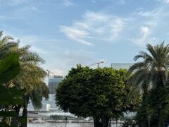 -广州白天鹅宾馆