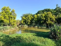 -张坝桂圆林公园