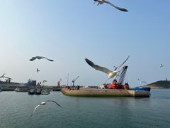 -海驴岛(荣成市)