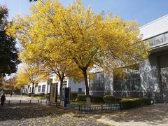 -长安大学(北校区)