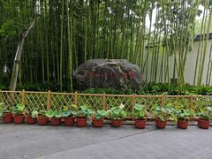 -上海醉白池公园
