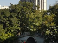 -荔湾湖公园