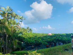 -三亚亚龙湾天域度假酒店