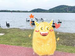 -西山漾湿地公园