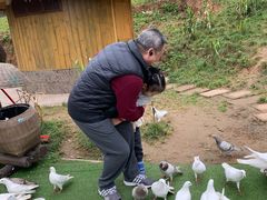 -黄龙溪欢乐田园