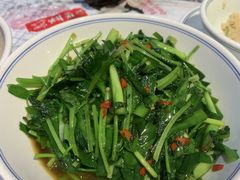 -壹盏灯(惠农店)