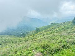 -驼梁风景区