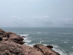 -广东惠东海龟国家级自然保护区