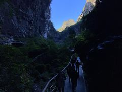 -巴马洞天福地景区