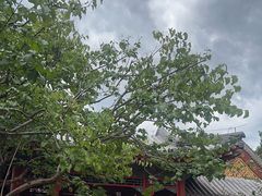 -宫事颐庭·老佛爷贵寿下午茶(颐和园店)