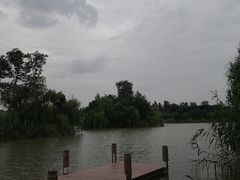 -白鹭湾湿地公园