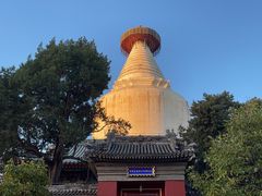 -妙应寺白塔