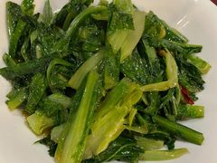 莴苣尖-董厨煨汤馆(车站路店)
