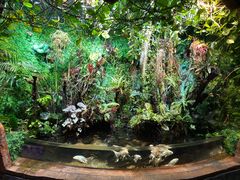 -太平洋海底世界