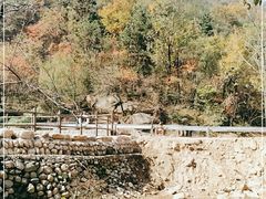 -洛阳花果山景区