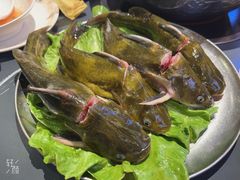 -由衷贵州酸汤牛肉火锅(新桥店)