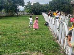 -贵州森林野生动物园