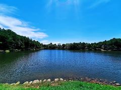 -南京市无想山景区