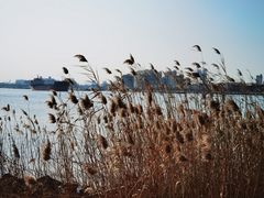 -上海山野camping·户外天幕烧烤·团建拓展营地