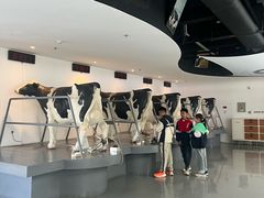 -蒙牛工业旅游景区