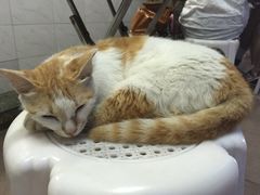 爱西干面(外马路店)-非遗·爱西干面(小公园总店)