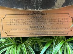 -花之城