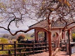 -广州莲花山旅游区