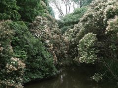 -上海滨江森林公园