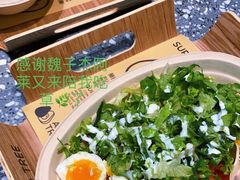 -油梨树AVOCADO TREE(望京店)