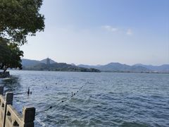 -杭州西湖柳莺里酒店