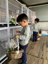 点击看大图 -小蜜蜂农场(凯德七宝购物广场店)