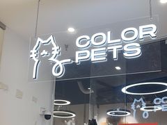 -COLOR PETS 撸猫馆·购猫·猫咖(长风大悦城店)