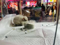 -鼓楼夜市