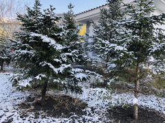 -吉林大学(新民校区)