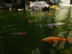 -广州花园酒店