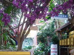 -月亮眼花园餐厅书吧酒吧