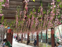 -西安汉城湖景区