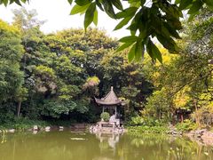 -深圳国际园林花卉博览园