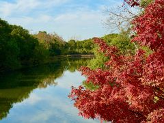 -上海海湾国家森林公园