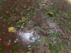-阿嫂印象·民间江湖菜(大学城店)