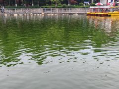 -莲湖公园