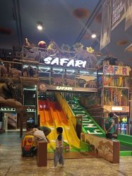 -卡通尼·Safari非洲探索乐园·生日会(金桥国际商业广场店)