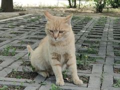 -野鸭湖国家湿地公园